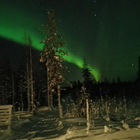 Alkkula