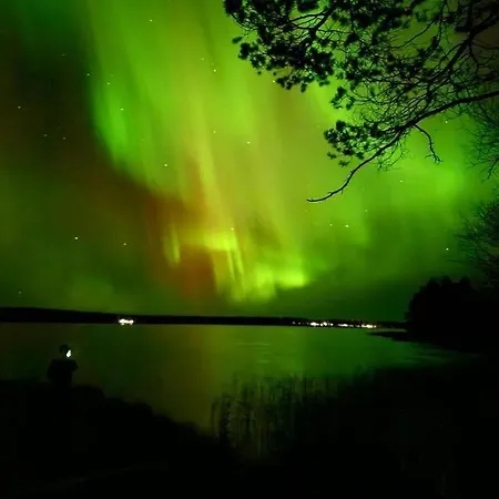 Alkkula *